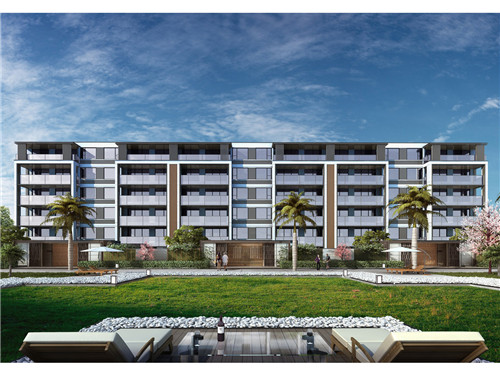 misscake蛋糕小姐