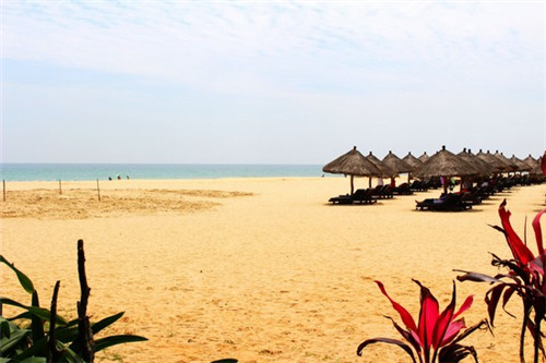 丁丁洋自助小火锅