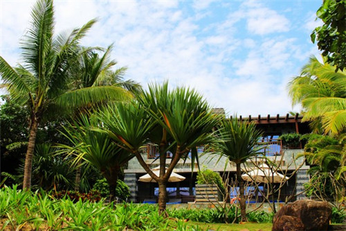 武侯魁脆皮锅魁