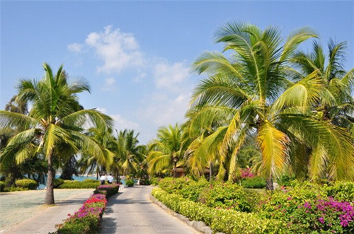 千种冰激凌加盟费多少钱一个月，千种冰激凌加盟费多少