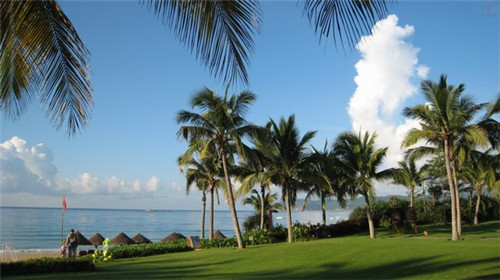 大气好听奶茶店名字大全