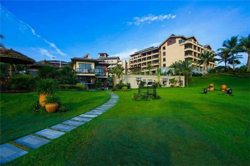 女生用手的正确手势图片大全（女生用手的正确手势图片大全集）