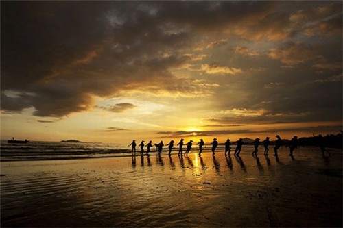 盐焗鸡炒土豆的做法（盐焗鸡炒盐要炒多少分钟）