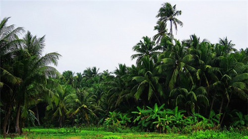 北方房子露台设计缺陷（北方的露台）