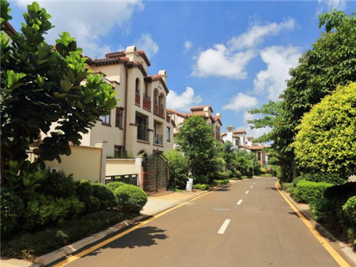 如何查中考分数排名表（如何查中考分数排名表格）